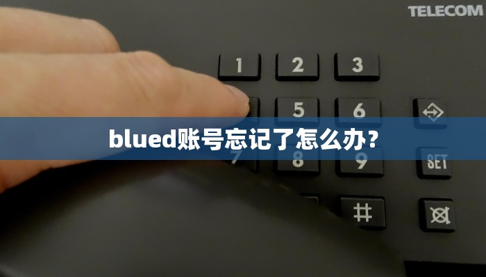 blued账号忘记了怎么办？
