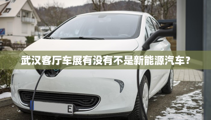 武汉客厅车展有没有不是新能源汽车？