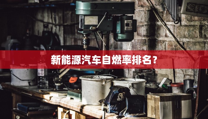 新能源汽车自燃率排名？