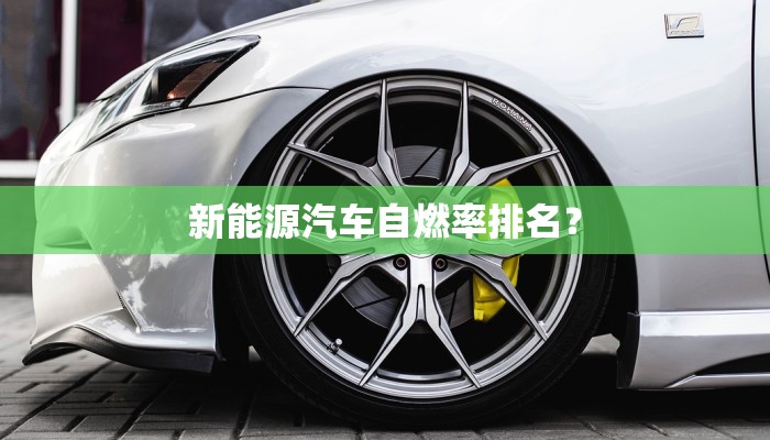新能源汽车自燃率排名？