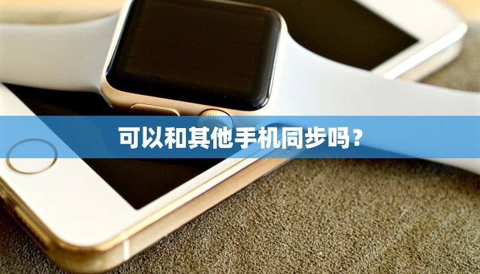 可以和其他手机同步吗？