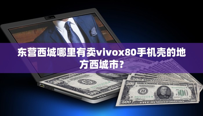 东营西城哪里有卖vivox80手机壳的地方西城市？