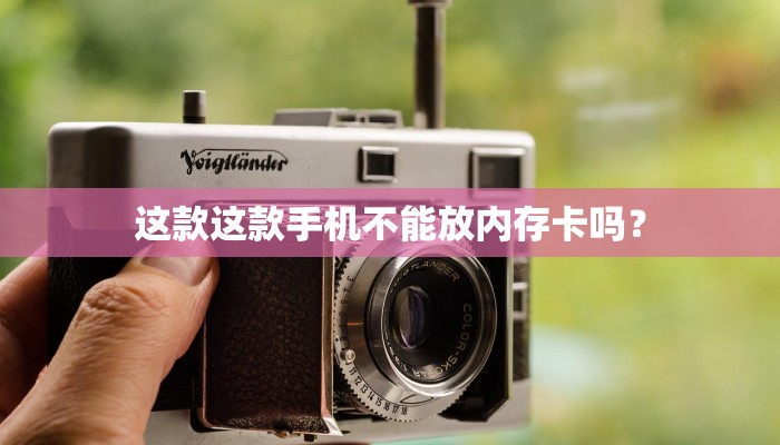 这款这款手机不能放内存卡吗？