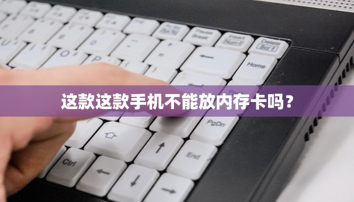 这款这款手机不能放内存卡吗？