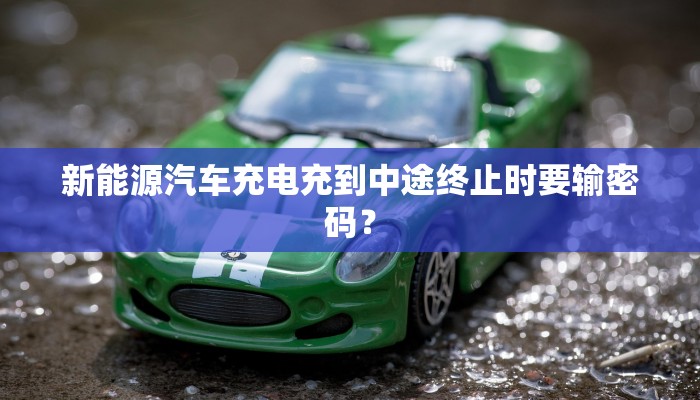 新能源汽车充电充到中途终止时要输密码？