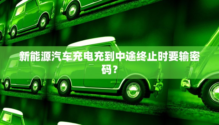 新能源汽车充电充到中途终止时要输密码？
