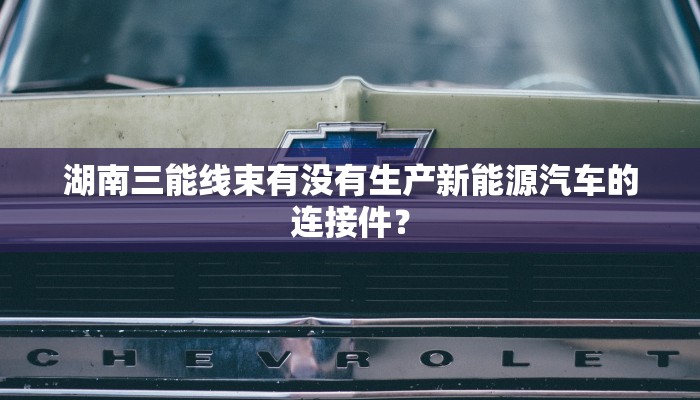 湖南三能线束有没有生产新能源汽车的连接件？