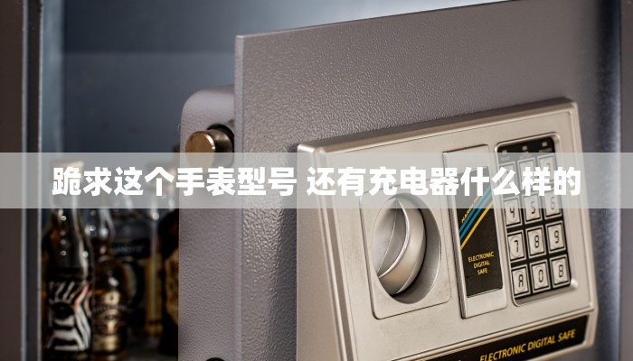 跪求这个手表型号 还有充电器什么样的