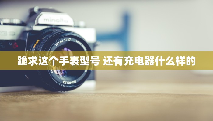 跪求这个手表型号 还有充电器什么样的