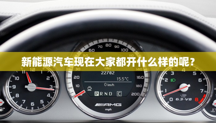 新能源汽车现在大家都开什么样的呢？
