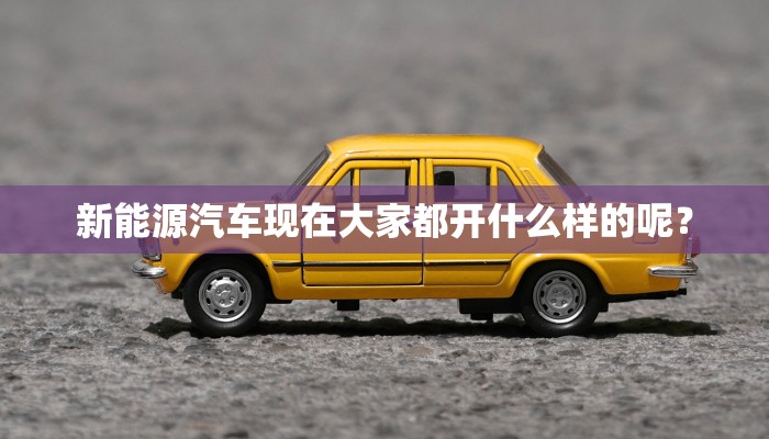 新能源汽车现在大家都开什么样的呢？