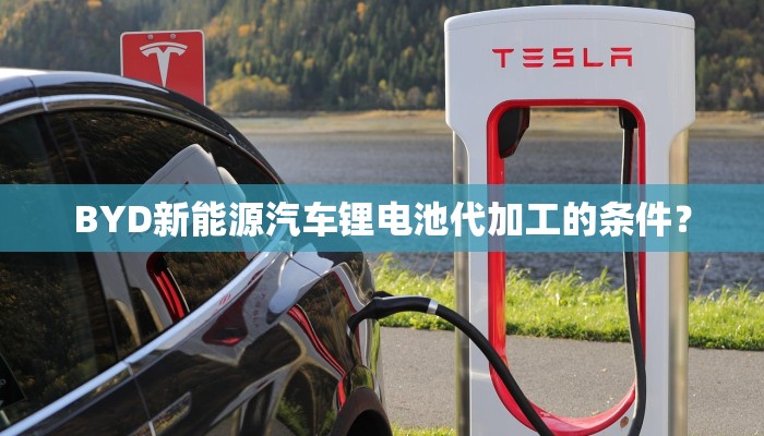 BYD新能源汽车锂电池代加工的条件？