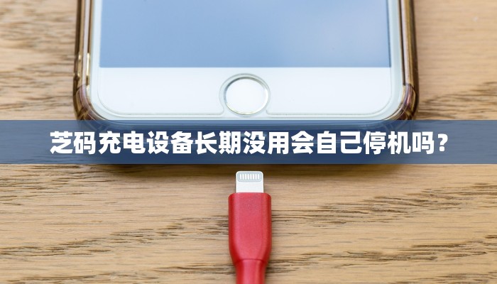 芝码充电设备长期没用会自己停机吗？