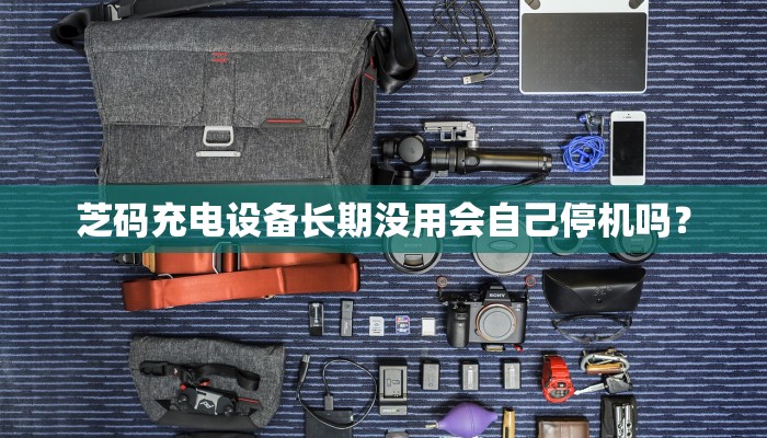 芝码充电设备长期没用会自己停机吗？