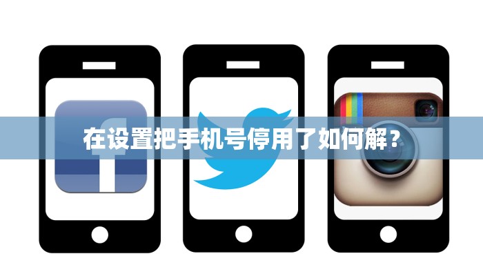 在设置把手机号停用了如何解？
