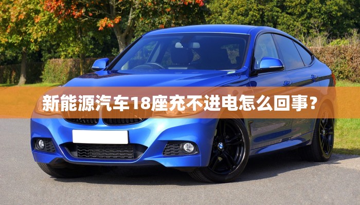 新能源汽车18座充不进电怎么回事？