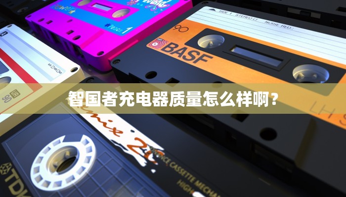 智国者充电器质量怎么样啊？