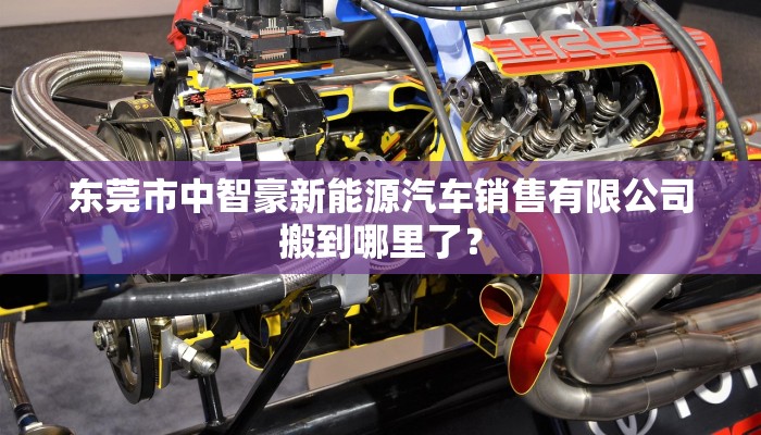 东莞市中智豪新能源汽车销售有限公司搬到哪里了？