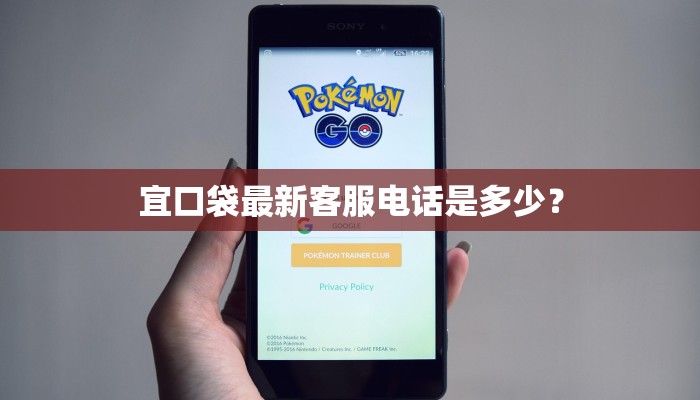 宜口袋最新客服电话是多少？