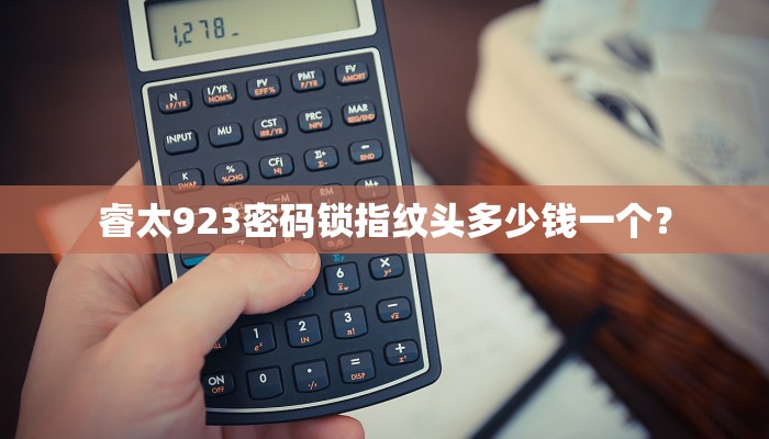 睿太923密码锁指纹头多少钱一个？