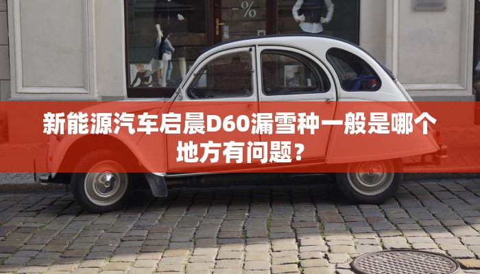 新能源汽车启晨D60漏雪种一般是哪个地方有问题？