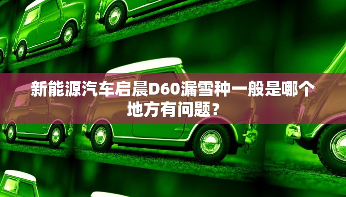 新能源汽车启晨D60漏雪种一般是哪个地方有问题？