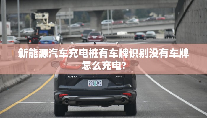 新能源汽车充电桩有车牌识别没有车牌怎么充电?