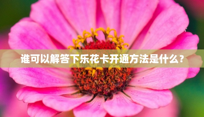 谁可以解答下乐花卡开通方法是什么？