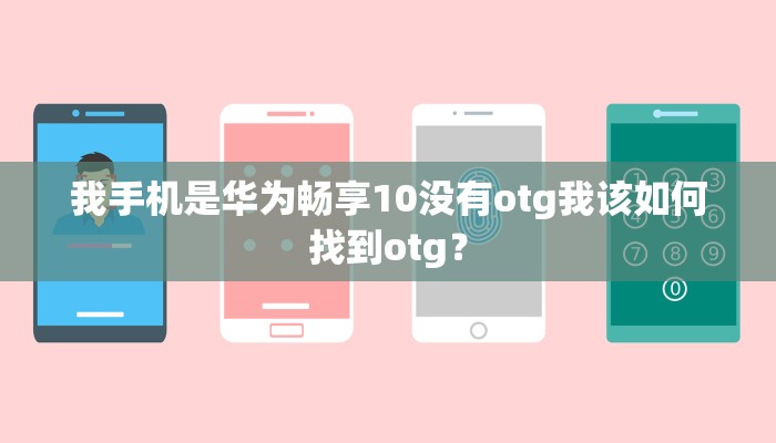 我手机是华为畅享10没有otg我该如何找到otg？