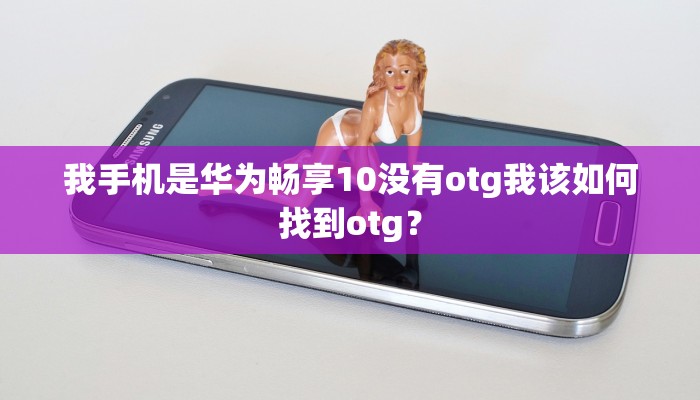我手机是华为畅享10没有otg我该如何找到otg？