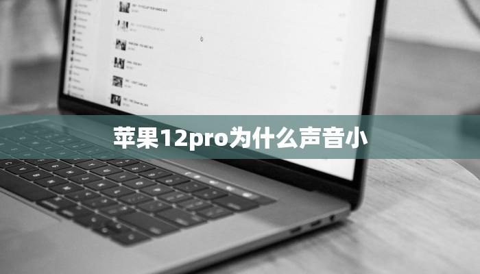 苹果12pro为什么声音小