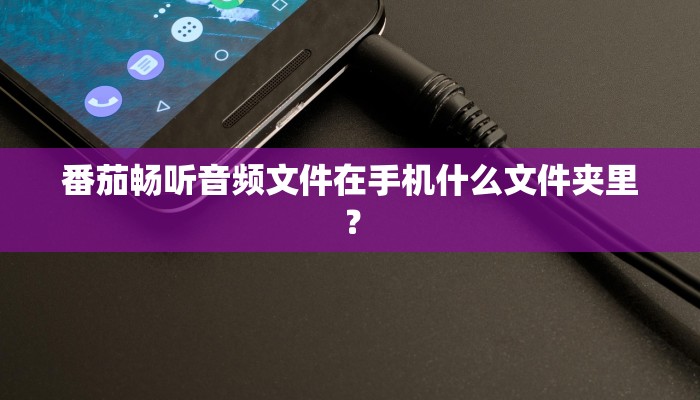 番茄畅听音频文件在手机什么文件夹里？
