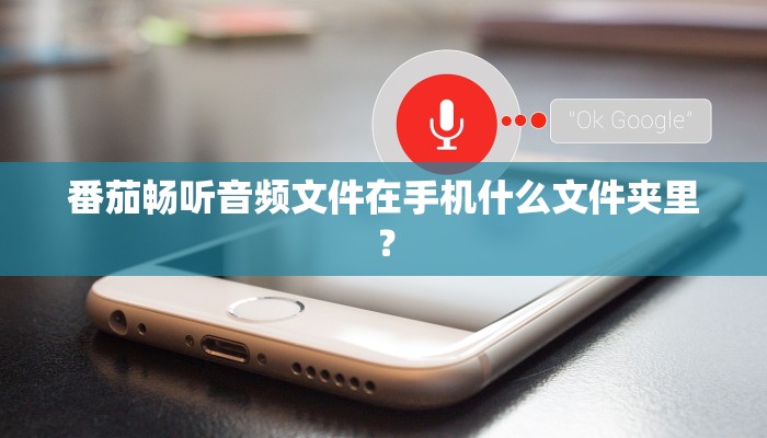番茄畅听音频文件在手机什么文件夹里？