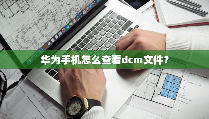 华为手机怎么查看dcm文件？
