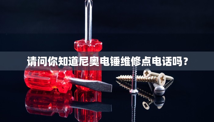 请问你知道尼奥电锤维修点电话吗？