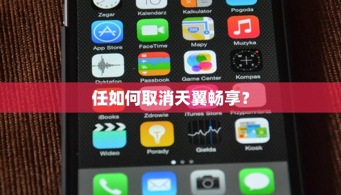 任如何取消天翼畅享？