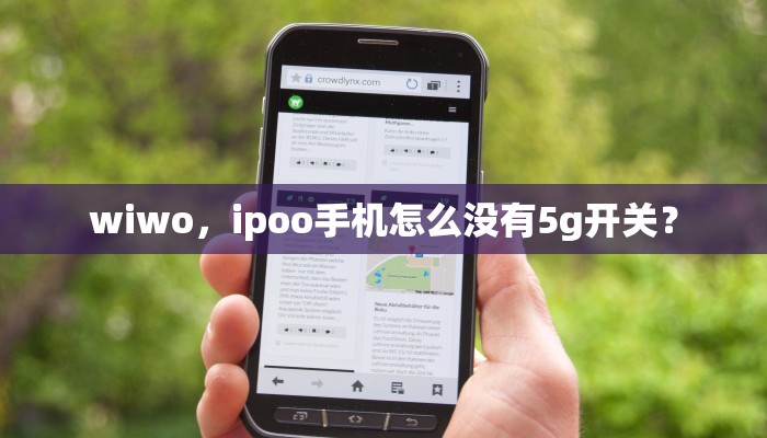 wiwo，ipoo手机怎么没有5g开关？