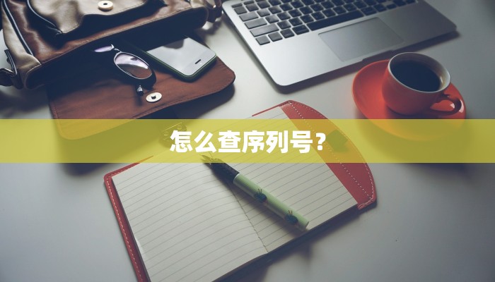 怎么查序列号？
