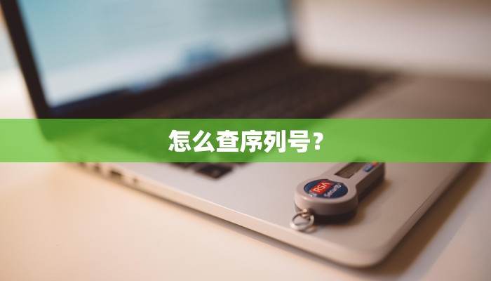 怎么查序列号？