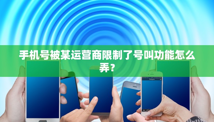 手机号被某运营商限制了号叫功能怎么弄？