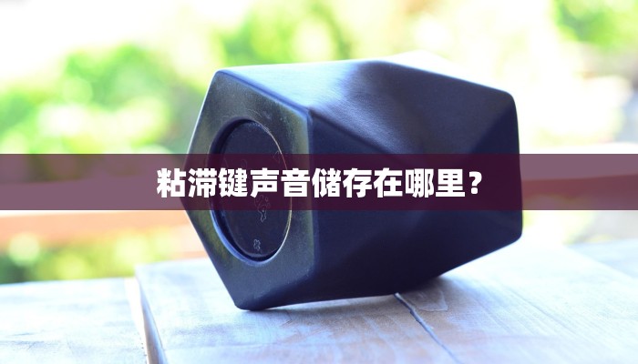 粘滞键声音储存在哪里？