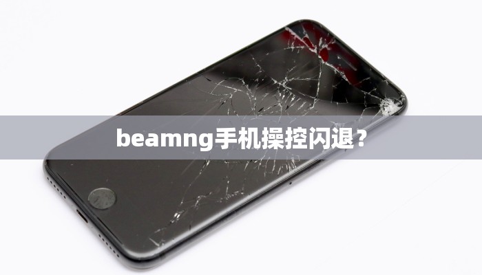 beamng手机操控闪退？