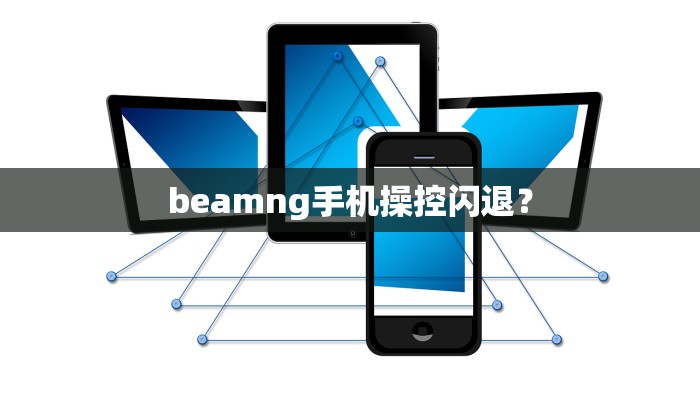beamng手机操控闪退？