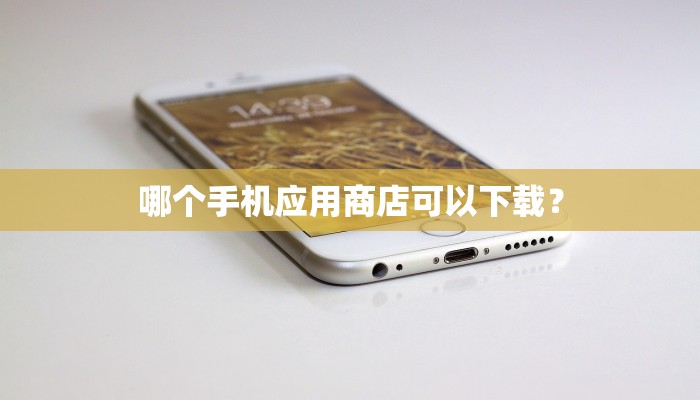 哪个手机应用商店可以下载？