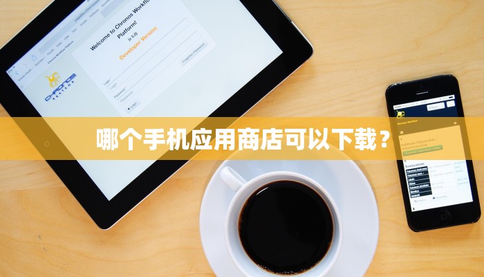哪个手机应用商店可以下载？