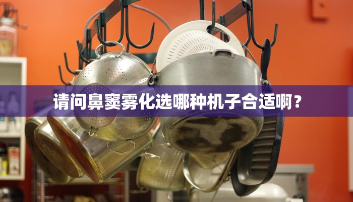 请问鼻窦雾化选哪种机子合适啊？