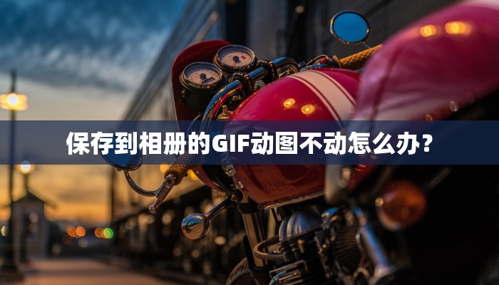保存到相册的GIF动图不动怎么办？