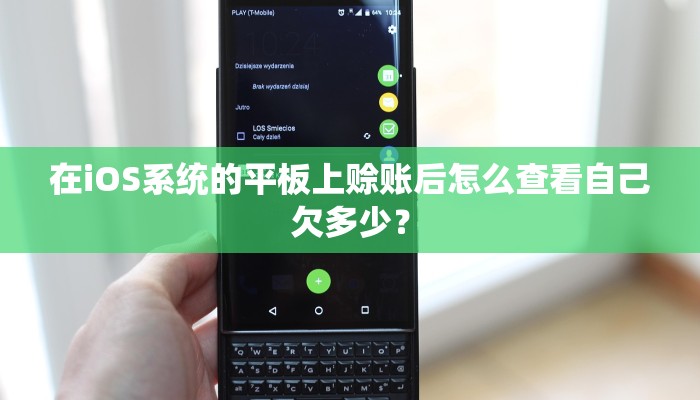 在iOS系统的平板上赊账后怎么查看自己欠多少？