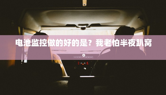 电池监控做的好的是？我老怕半夜趴窝。
