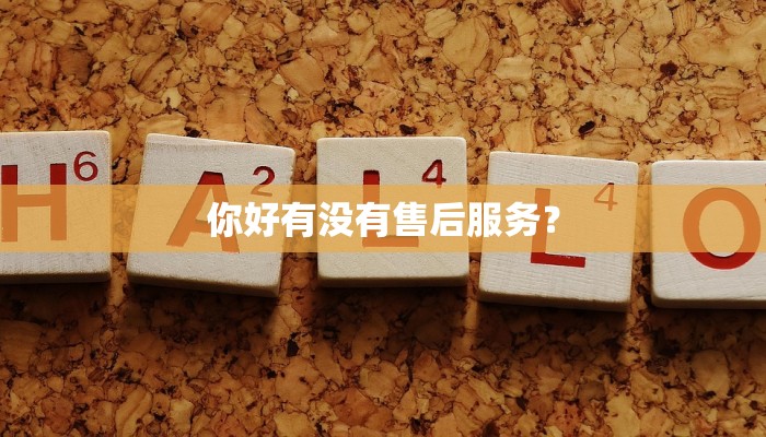 你好有没有售后服务？